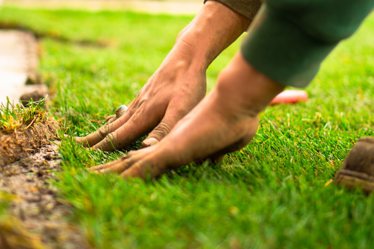 Hands pressing down a fresh roll of turf on prepared soil